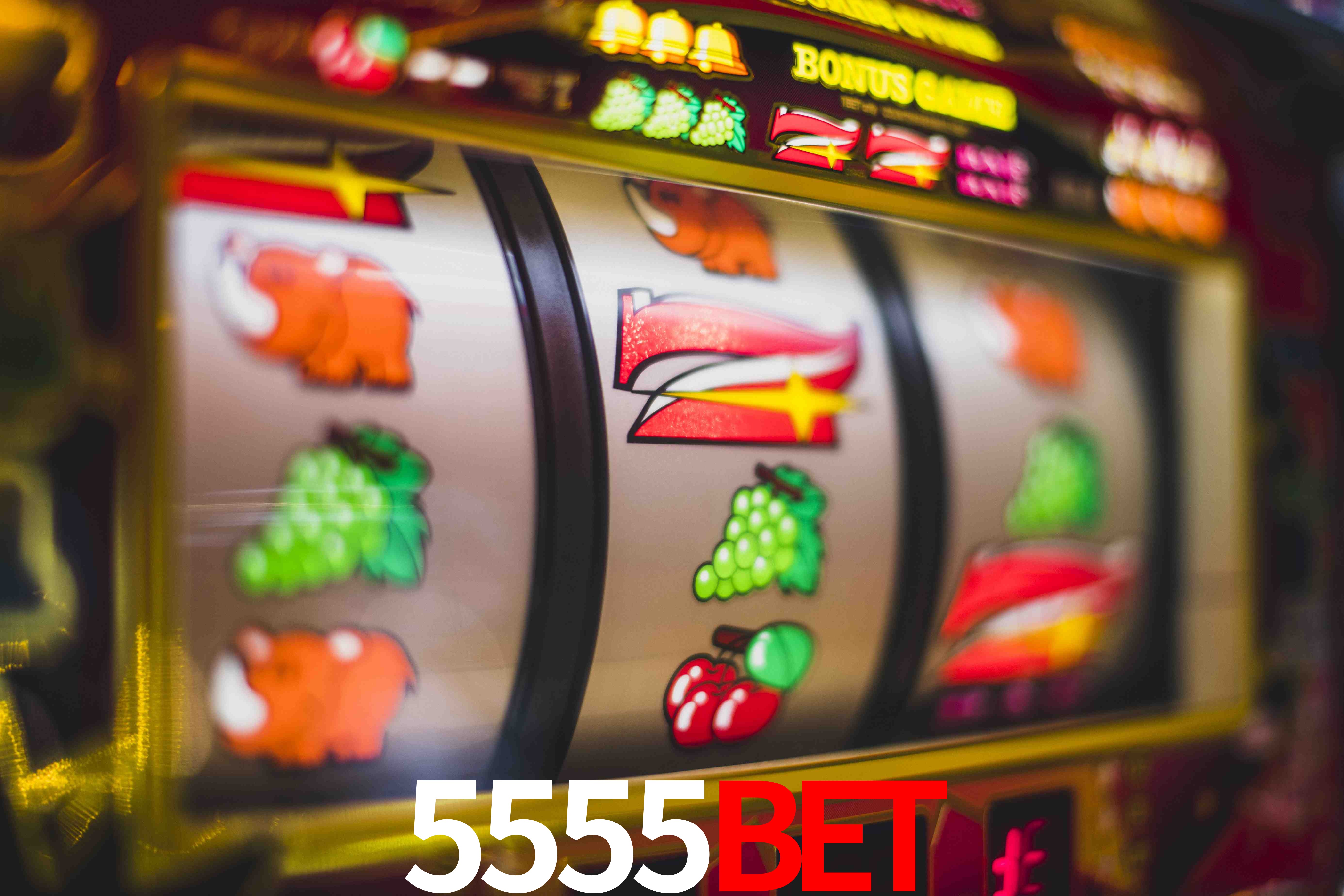 Sports Statistics 5555bet